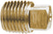 Brass Fittings 28087 1/2 Brass Sq Head Pipe Plug - LMC Shop