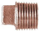 Brass Fittings 44653 Bronz Plug Fitting 1/2 - LMC Shop